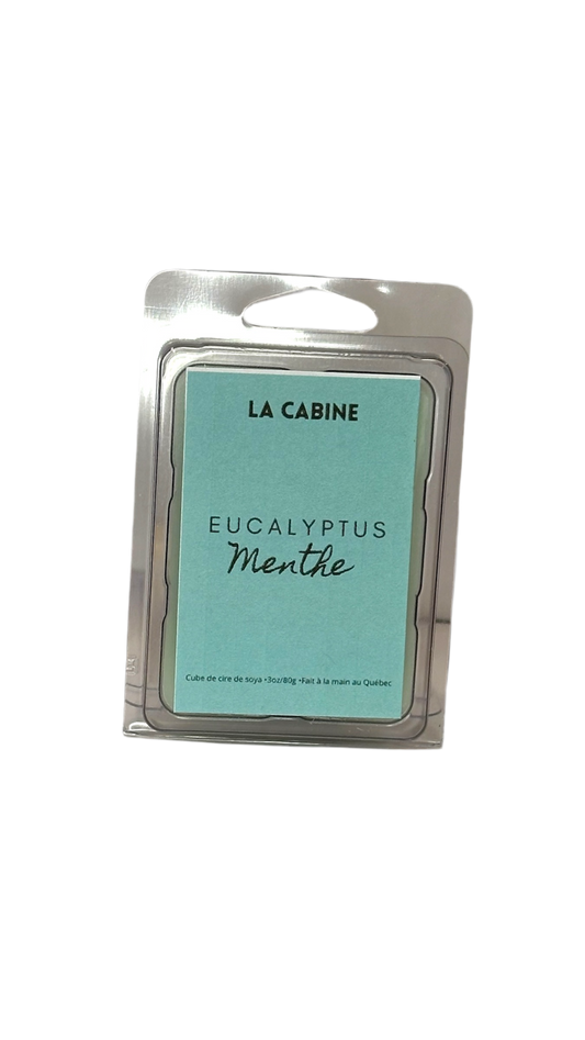 Cubes de cire | Eucalyptus & Menthe